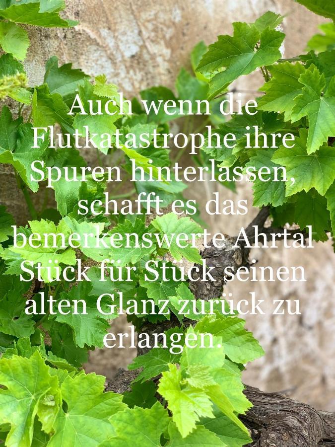 Auszeit Im Ahrtal Lägenhet Bad Neuenahr-Ahrweiler Exteriör bild